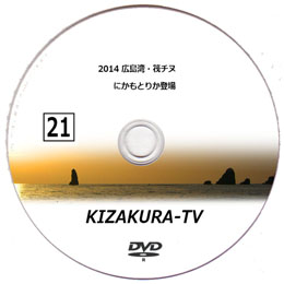 KIZAKURA-TV 21