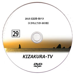 KIZAKURA-TV 29