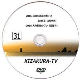 KIZAKURA-TV 31